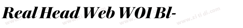 Real Head Web W01 Bl字体转换